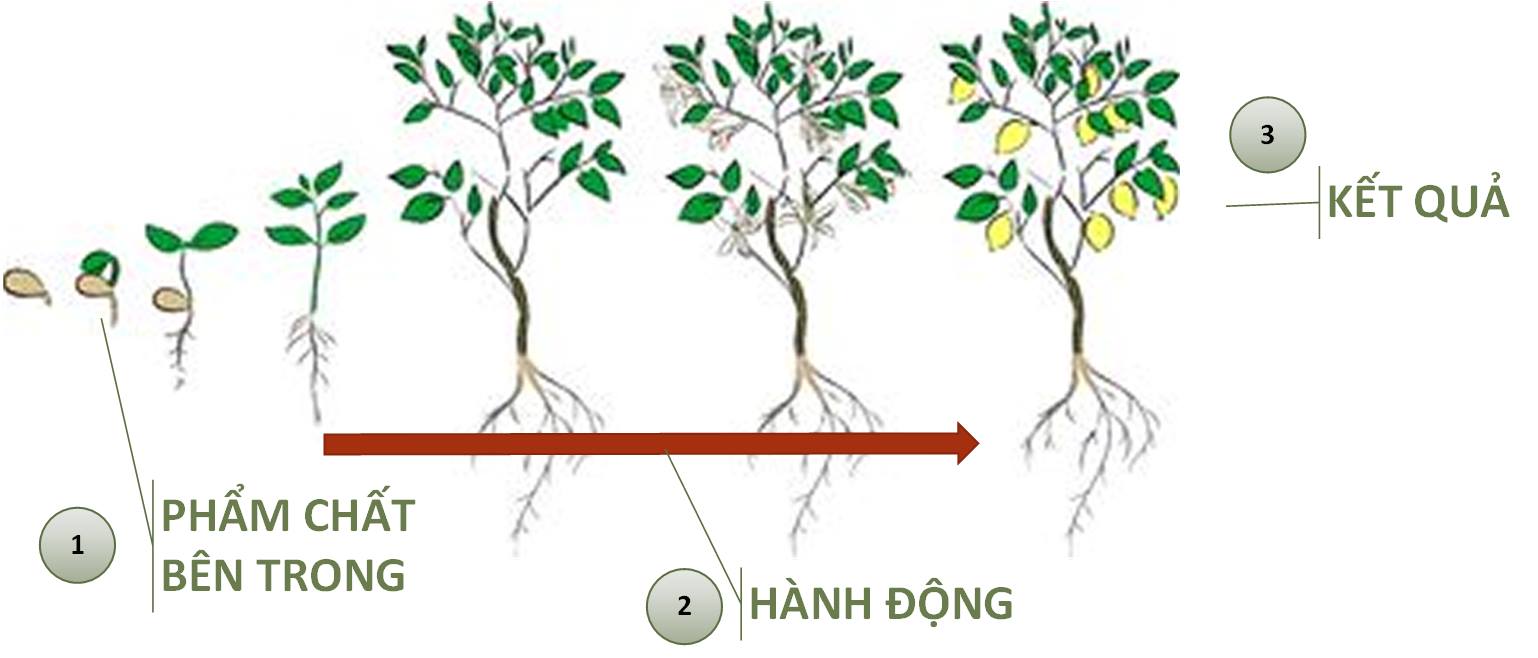 KHOA-HOC-LSL-LA-NGAY-HOI-1