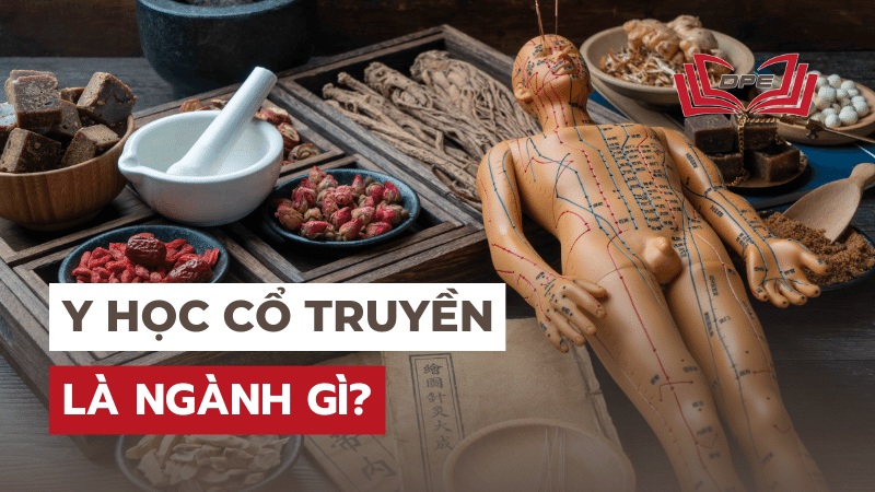ChÍnh SÁch - 17